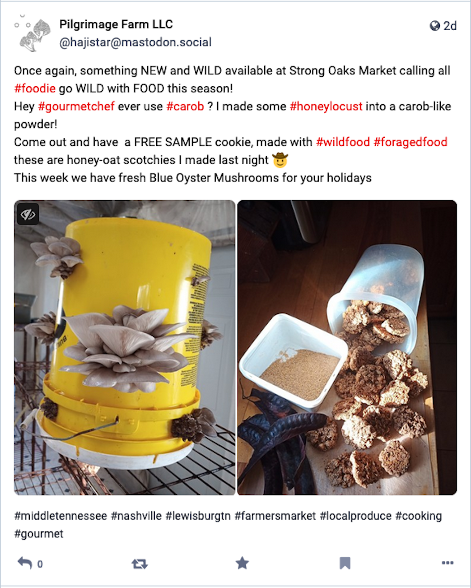 A Pilgrimage Farm usa uma postagem de duas fotos no Mastodon para promover a venda de biscoitos e cogumelos silvestres orgânicos.