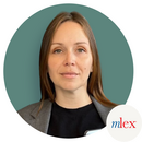 альтернативный текст