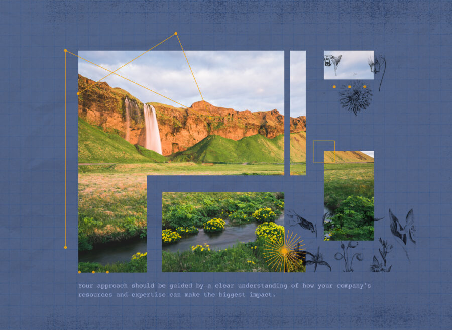 您的方法应以清楚了解公司的资源和专业知识如何产生最大影响为指导。