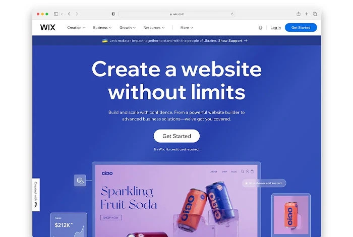 Wix はプロ仕様のウェブサイトを作成するのに最適です