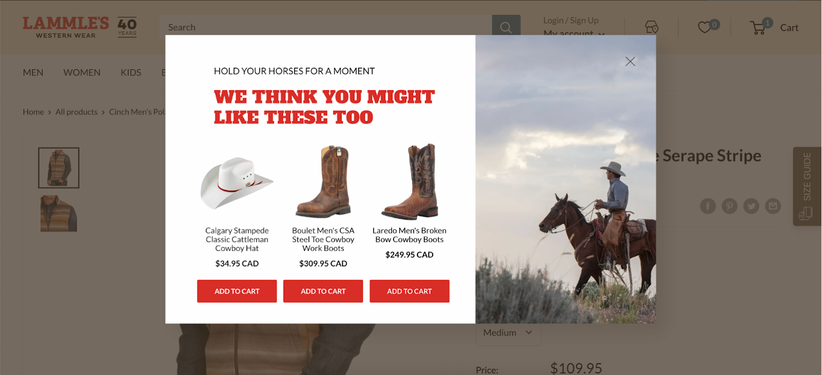 Verbessern Sie Ihre E-Commerce-Conversion-Rate mit einem Produktempfehlungs-Popup