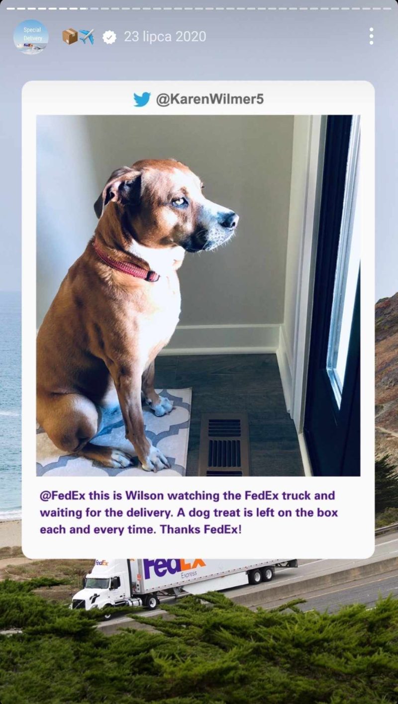 是否值得为企业创建 Instagram Stories? |商业社交媒体#4 6 instagram stories