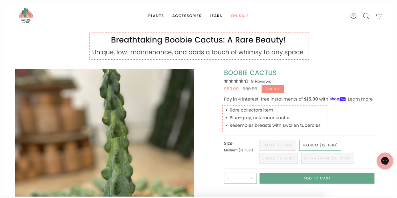 Varnish & Vine 스마트 제품 페이지 최적화 프로그램