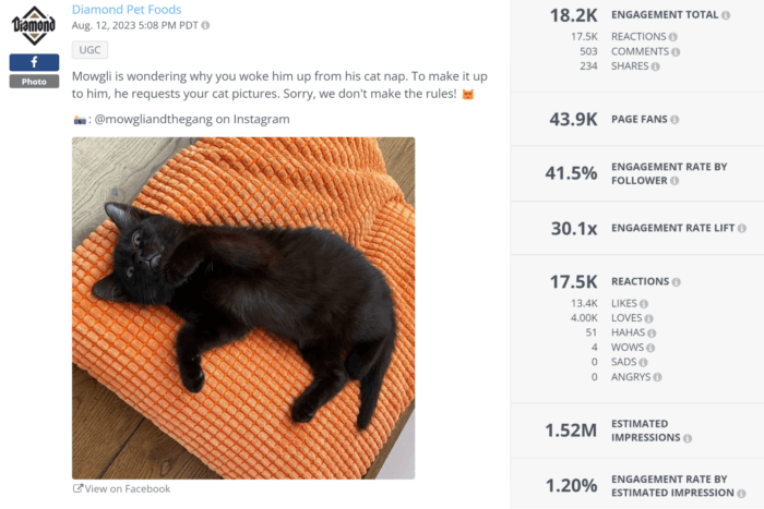 Die schwarze Katze Mowgli auf einem orangefarbenen Handtuch hat in diesem UGC-Facebook-Beitrag insgesamt über 18.000 Interaktionen erzielt.