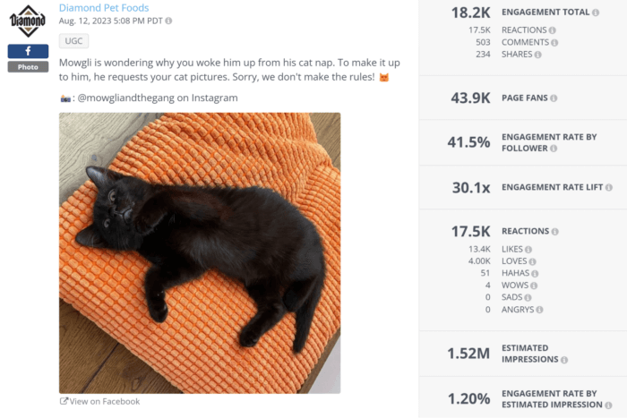 O gato preto Mowgli em uma toalha laranja nesta postagem UGC no Facebook acumulou mais de 18 mil em engajamento total.