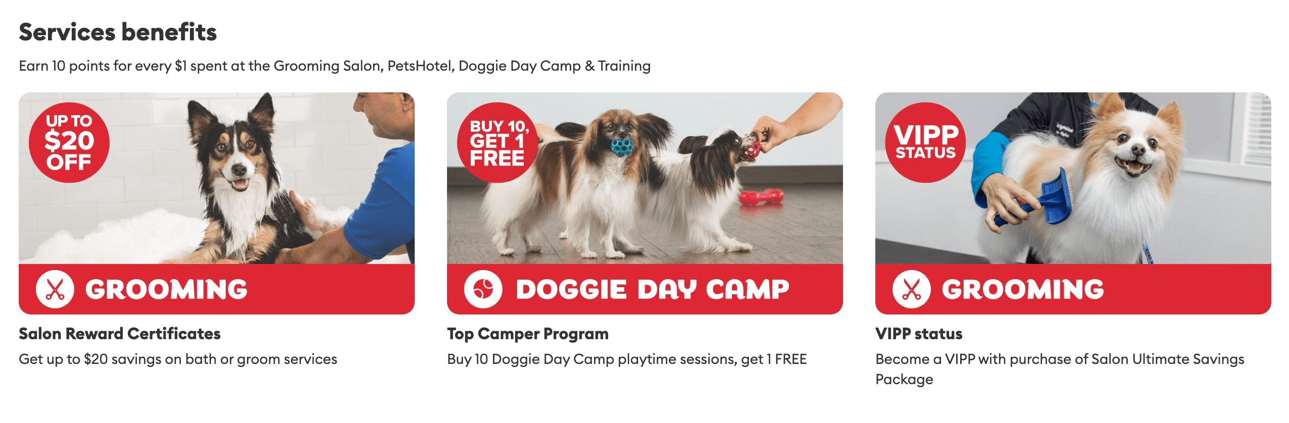 Tangkapan layar manfaat Layanan PetSmart seperti diskon perawatan, Doggie Day Camp, dan status VIPP otomatis.