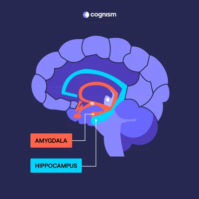 B2B Marka Bilinirliği