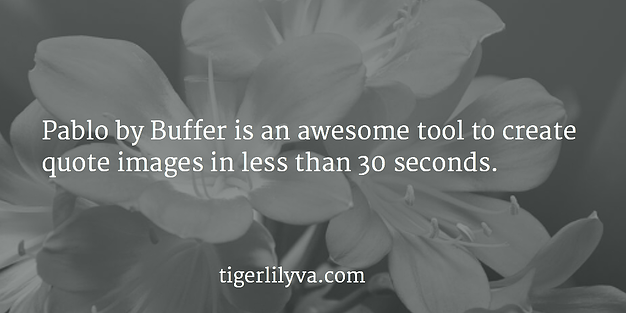 exemplos de estudo de caso pablo