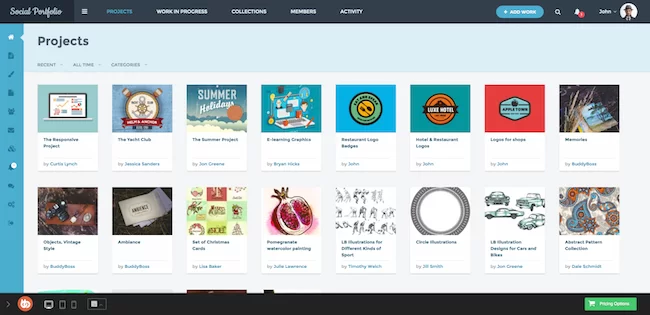 buddyboss-portefeuille-social