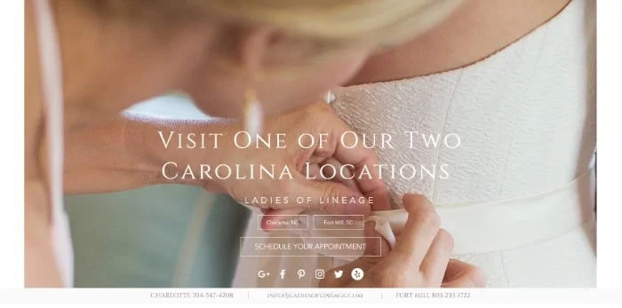 Дамы родословной