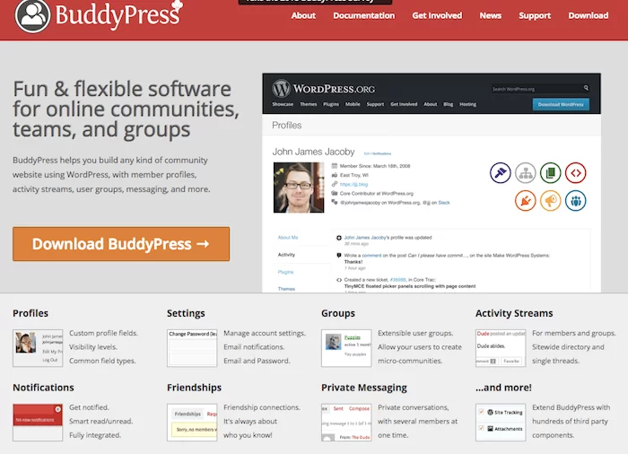 БаддиПресс