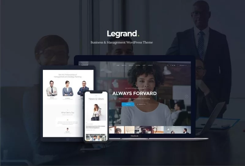 GDPR WordPress 主題