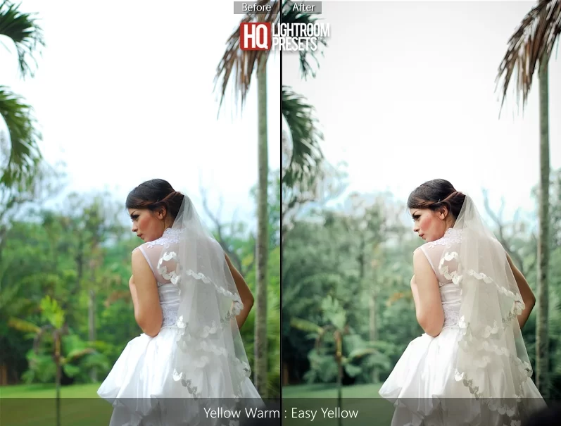 Ajustes preestablecidos de novia HQ