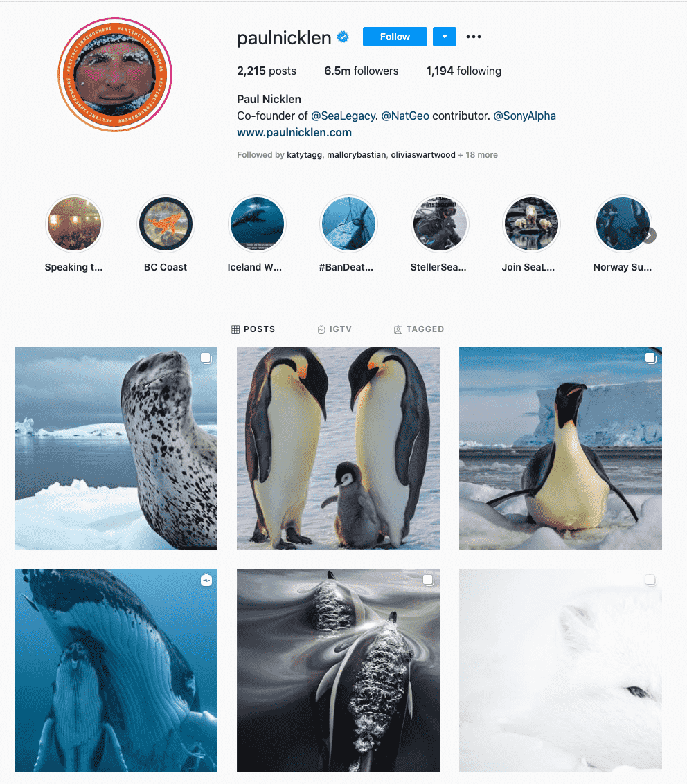 paul nicklen-charity influencer