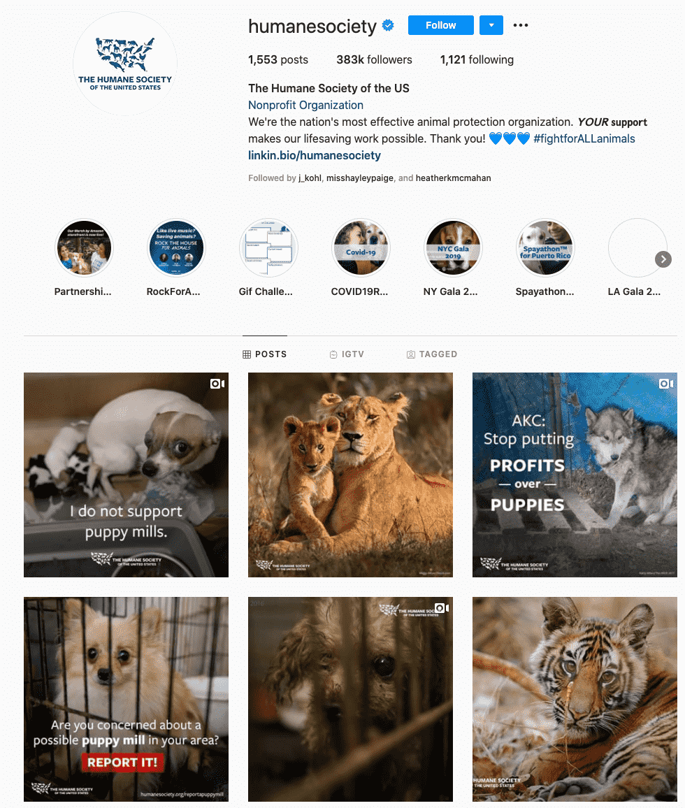 influencer amal masyarakat yang manusiawi