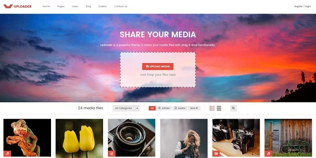Thème WordPress du téléchargeur
