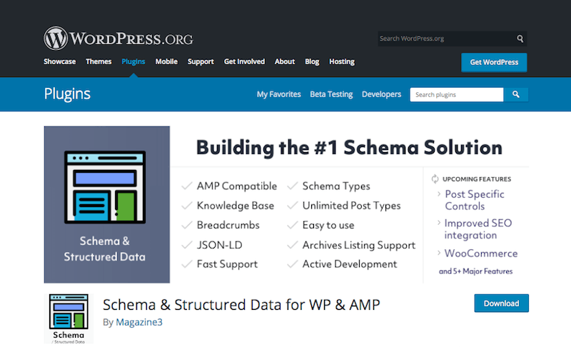 Esquema y datos estructurados para WP y AMP