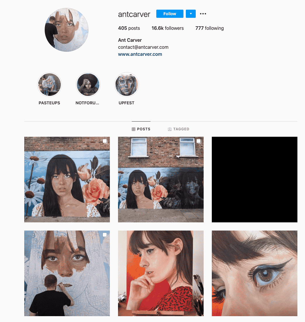 アリの洞窟探検家