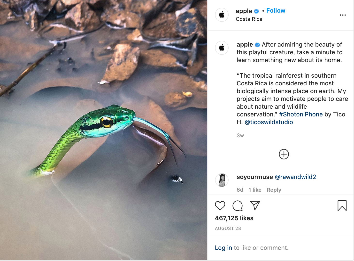 アップルインスタポスト2