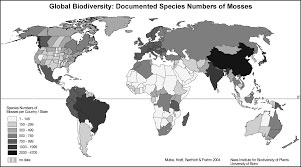 แผนที่ความร้อนของ Google Analytics