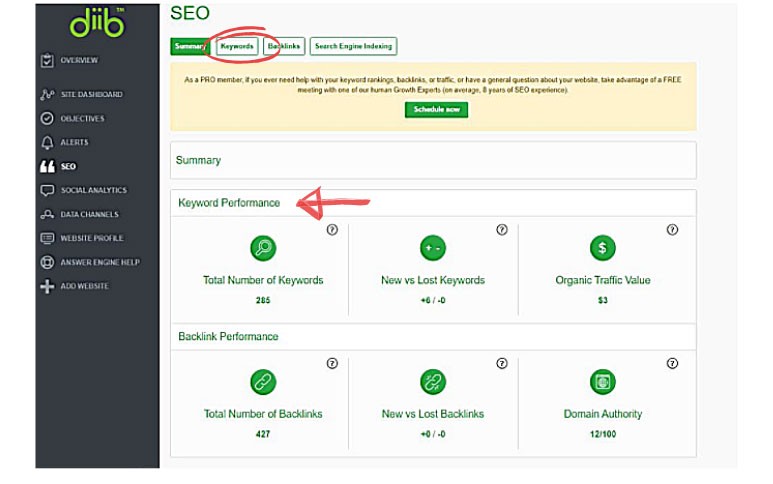 フランチャイズウェブサイトのSEO