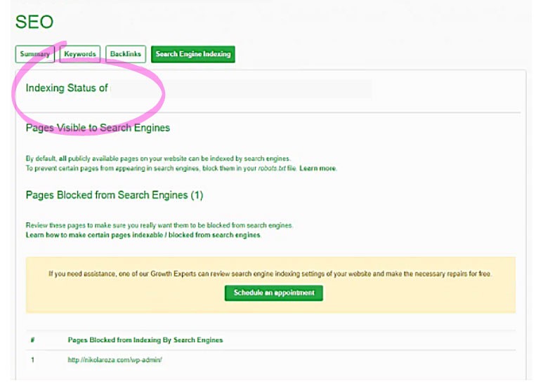 Google은 내 사이트를 크롤링합니다.