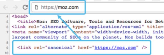 Najlepsze praktyki dotyczące tagów kanonicznych na rok 2021
