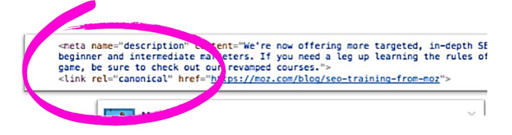 Najlepsze praktyki dotyczące tagów kanonicznych na rok 2021