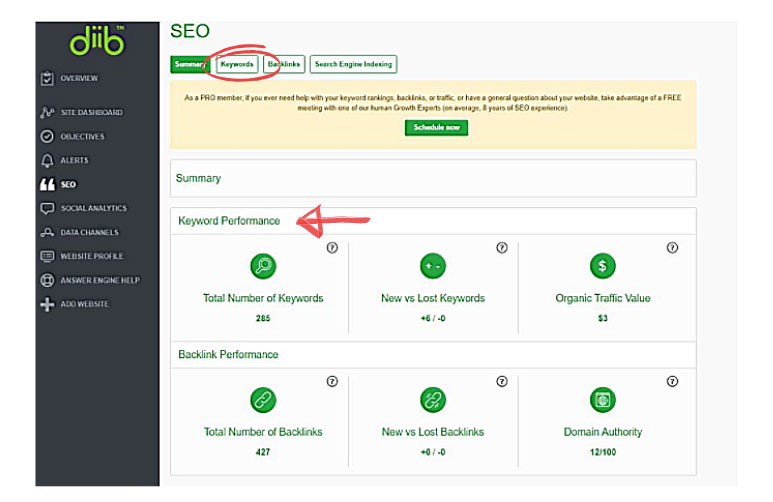 palavras-chave relacionadas