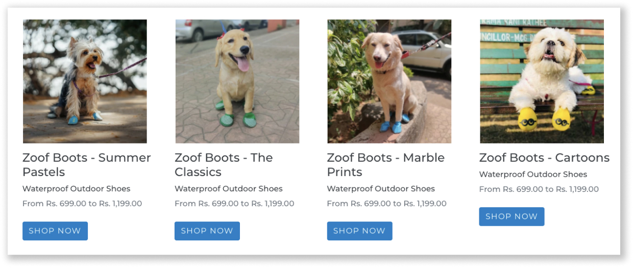 Kürk Bebeğinizi Şımartmak için En İyi 14 Çevrimiçi Evcil Hayvan Mağazası 3 Zoof Pets