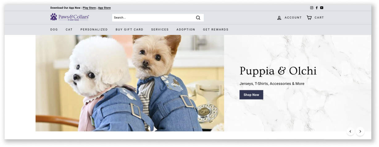 Kürk Bebeğinizi Şımartmak İçin En İyi 14 Çevrimiçi Evcil Hayvan Mağazası 2 Paws n Collars