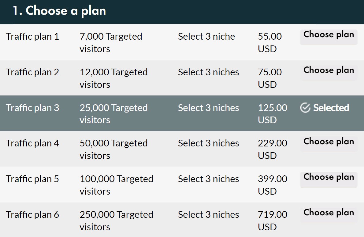 Webトラフィックを購入する