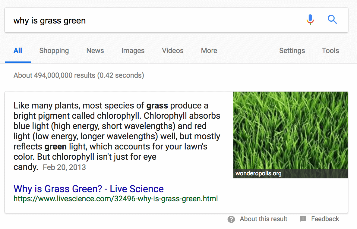 Frammento in primo piano di Raven Tools