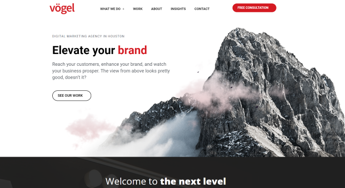 フォーゲルホームページ