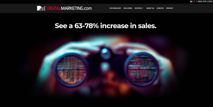 Page d'accueil DigitalMarketing.com