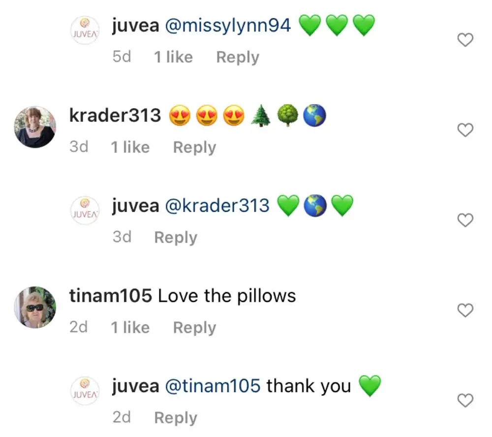 Instagram 評論選擇器贈品示例 woobox