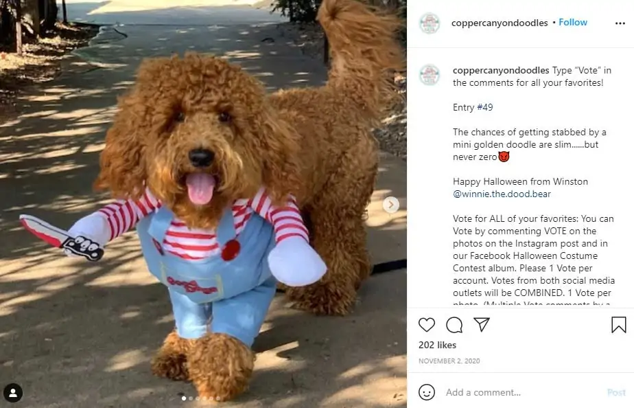 Идеи розыгрыша инстаграма на Хэллоуин 2021