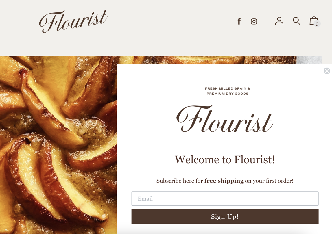 29 przykładów wyskakujących okienek e-mail, aby uzyskać więcej subskrybentów biuletynów popup examples 05 - 29 Email Popup Examples to Get More Newsletter Subscribers