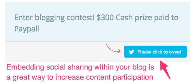 BlogExpose_Contest_Submission_Form
