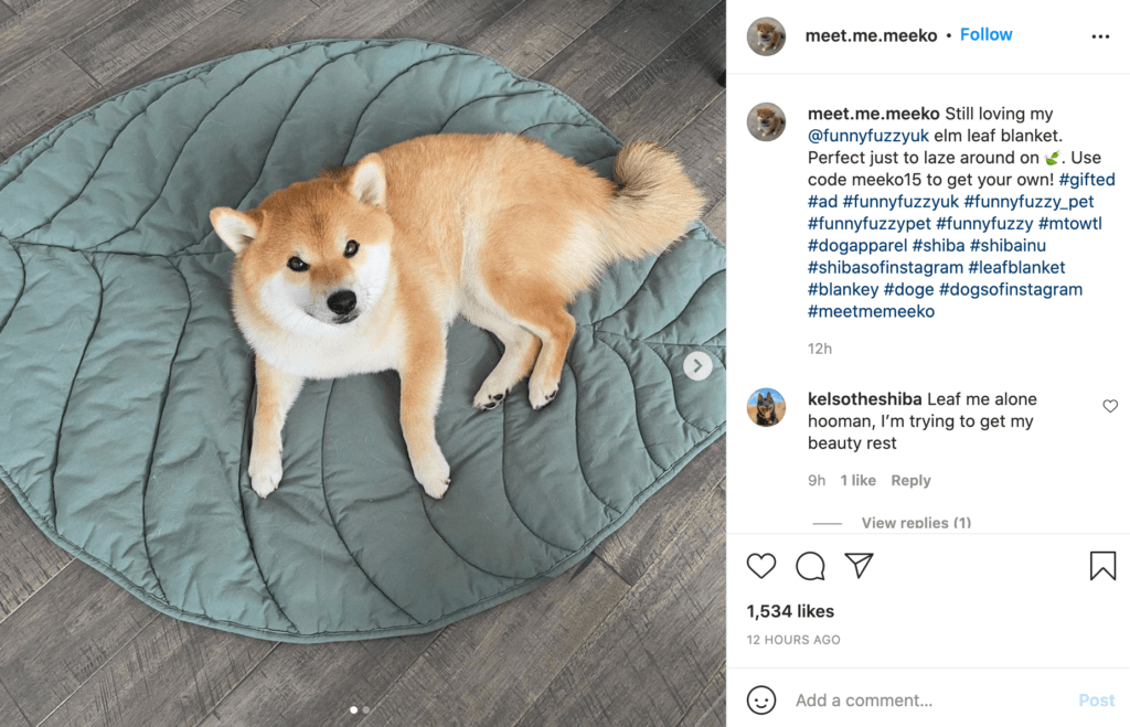 influencer-marketing-1-1 | Łatwy partner An example of an influencer marketing campaign.