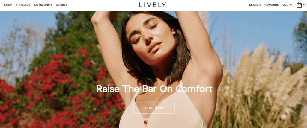 スクリーンショット-2022-01-20-at-9.03.47-AM|簡単なアフィリエイト LIVELY home page