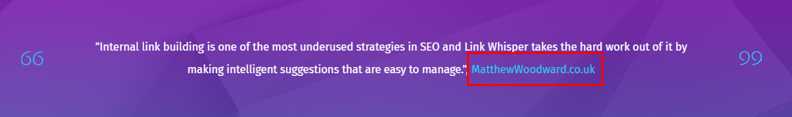 afaceri de succes online