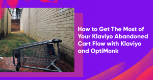 how to get the most of your klaviyo abandoned cart flow 300x157 - 5 Great Winback Email Examples Customers Can&rsquo;t Resist