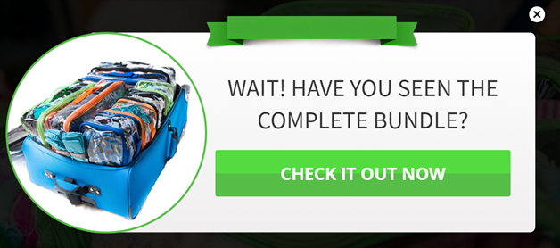 Estudo de caso de comércio eletrônico - Como a EzPacking aumentou sua taxa de conversão em 22,5% 2 ez - eCommerce Case Study - How EzPacking Increased Their Conversion Rate By 22,5%