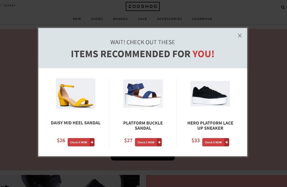 Cara Menggunakan Popup: Toolkit Praktik Terbaik Pop-up 11 upsell e1511785124830 - How to Use Popups: A Pop up Best Practices Toolkit