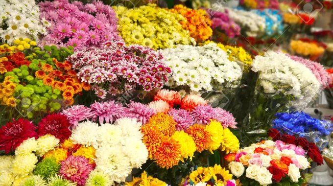 2022년에 시도할 자르칸드의 18개 이상의 비즈니스 아이디어 14 flower supplier
