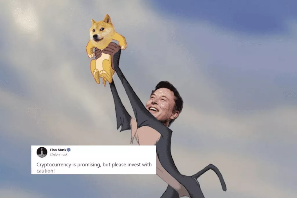 Doge elon musk meme nft (1)
