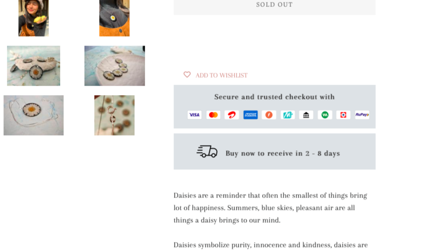 在線商店的多種在線支付