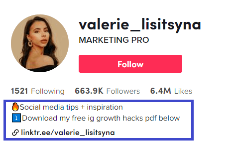 enlace del sitio web en tu biografía