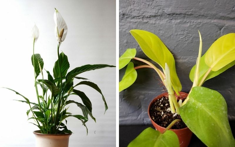 การถ่ายภาพอีคอมเมิร์ซ